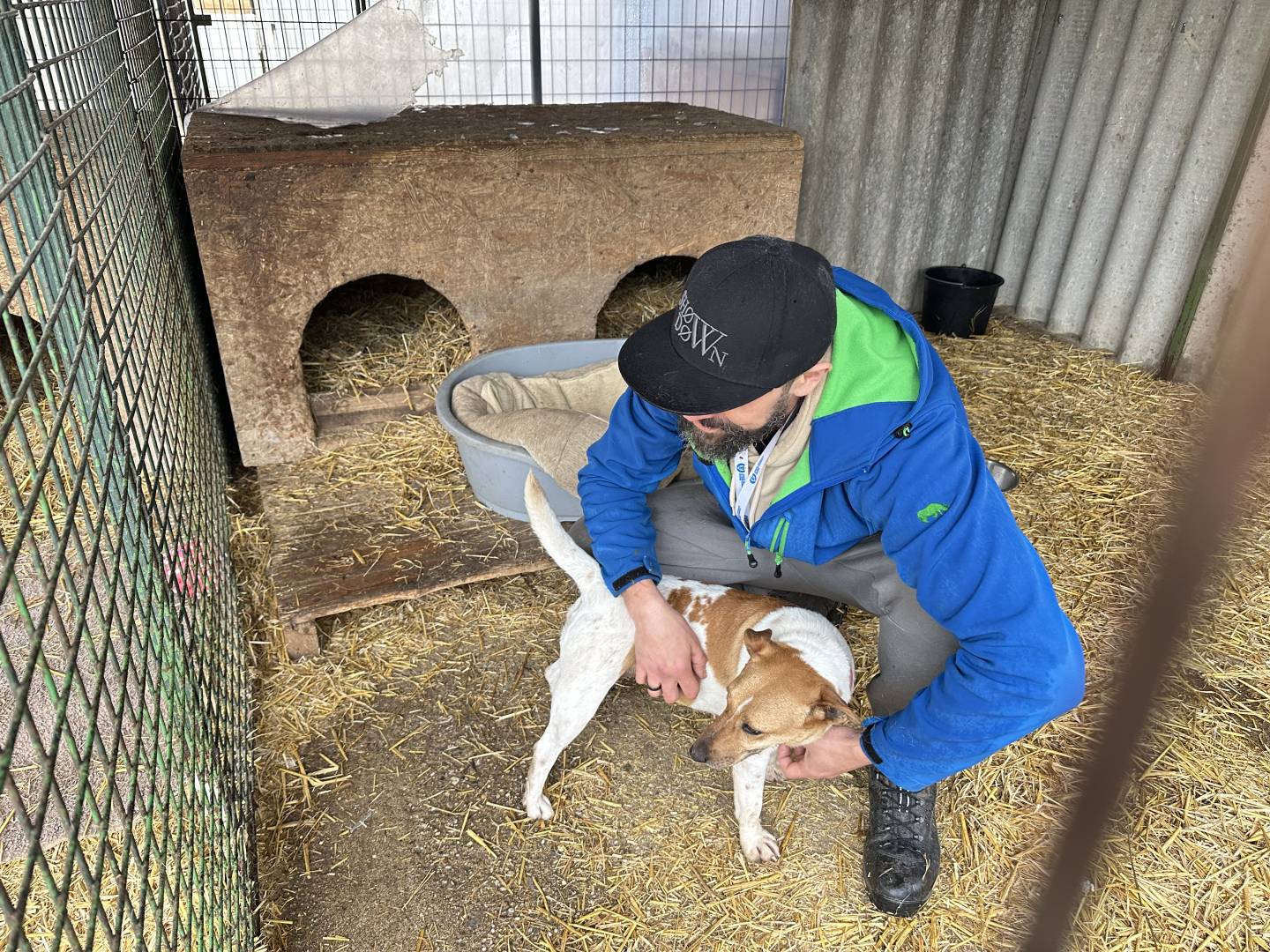 TF es adomanyok az etyeki allatmenhelynek 2 