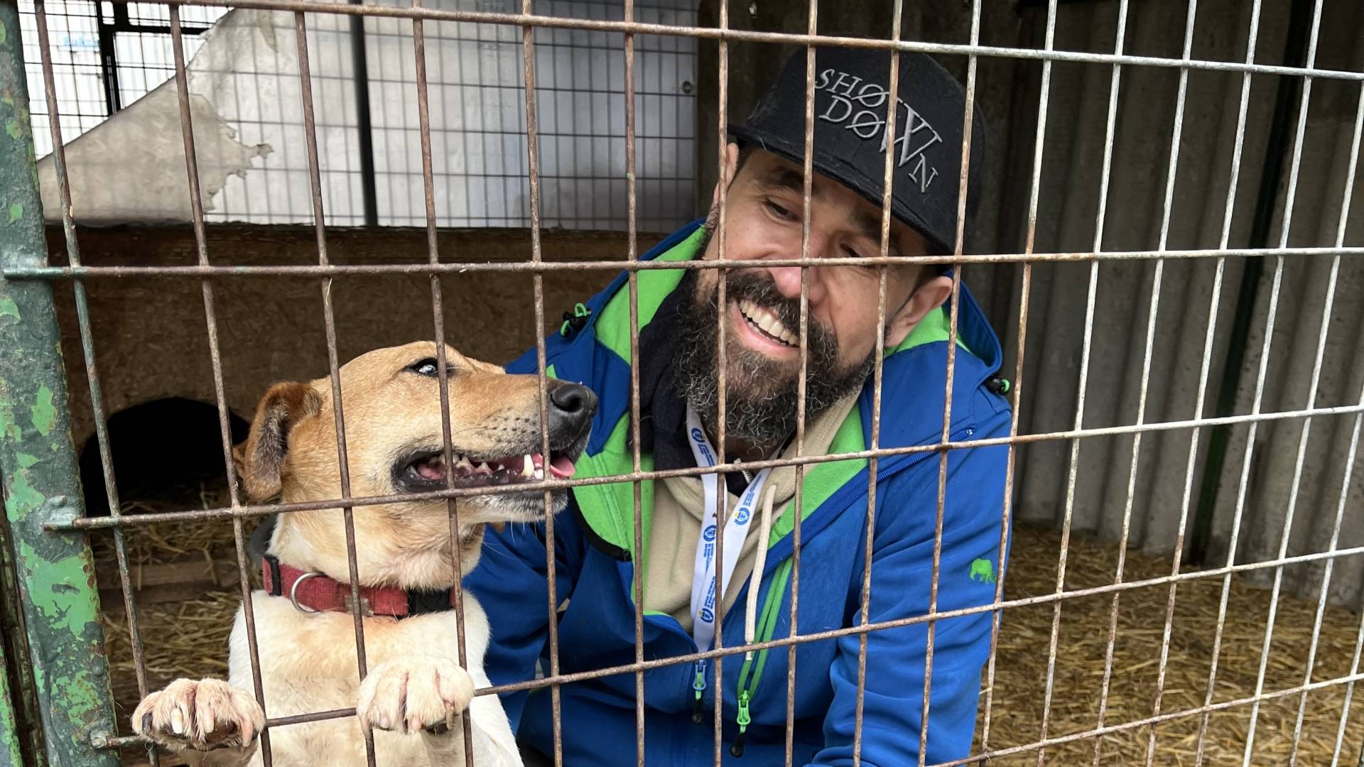 TF es adomanyok az etyeki allatmenhelynek 3