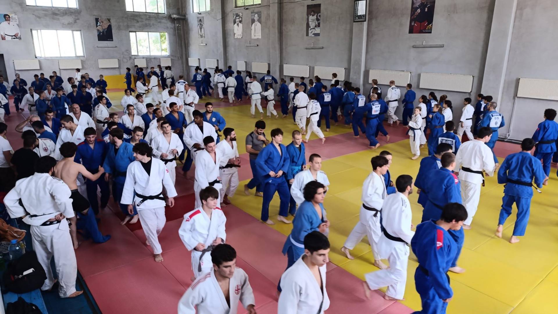 Gladiatorok foldjen tanulmanyut a gruz dzsudo bolcsojebe a Pannonia osztondijprogrammal