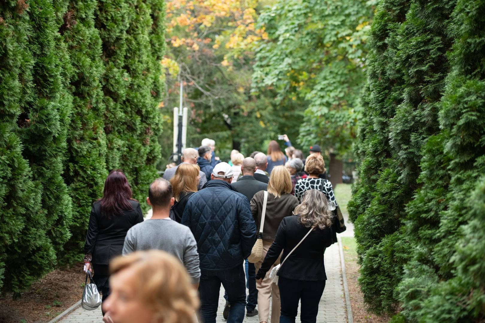 Testnevelo Tanarok Unnepe a TF en egy nap a szakma tiszteletere 5